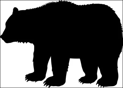 Quel est le seul ours présent en Amérique du Sud ?