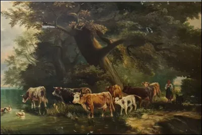 1936 - Londres - L'école de pilotage ajoute l'étude du comportement des vaches à son programme dans le but d'aider le pilote lors d'un atterrissage d'urgence. Pourquoi les vaches ?