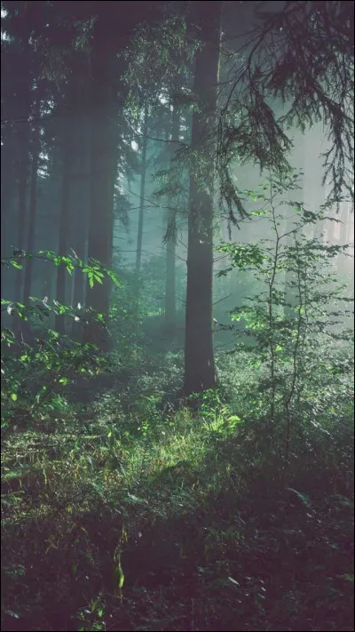 Quel moment préfères-tu dans une journée ?