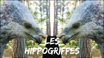 Selon Hagrid, les hippogriffes sont :
