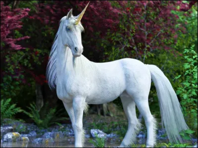 Quand la corne de la licorne apparait-elle ?