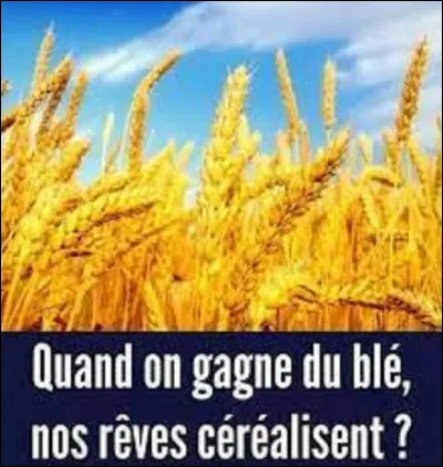 Quel est le premier producteur de blé au monde ?