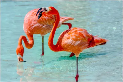 Et quel est celui-là ?