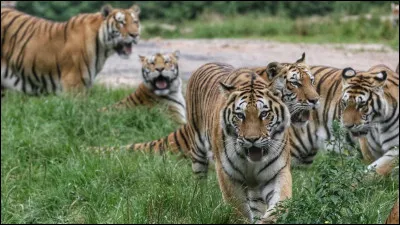 Et quel est le nom de celui-ci ?