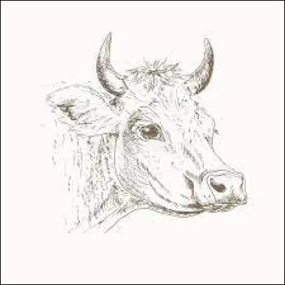 Que signifie "avoir un buf sur la langue" ?