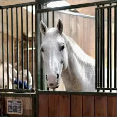 Que signifie "nettoyer les écuries d'Augias" ?