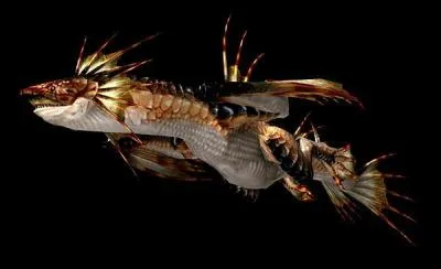 Enorme Wyvern aquatique dont les ailes ont volues en nageoires. Bien que semblable aux poissons, il peut aussi se dplacer sur terre :
