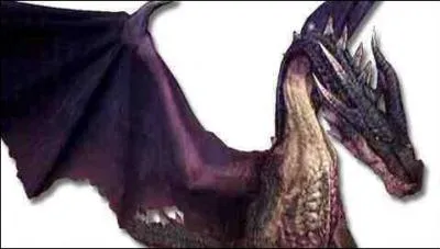 Dragon suprme, seul les plus grands Hunter l'on dj rencontr :