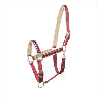 Regarde l'image. Qu'est-ce que c'est ?