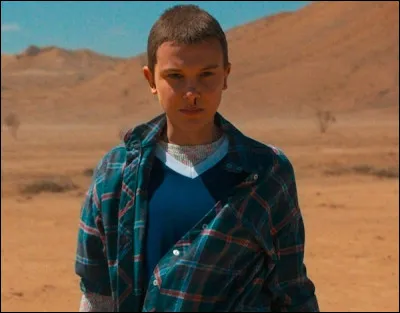 Dans la série ''Stranger Things'', dans un magasin, Eleven a volé...