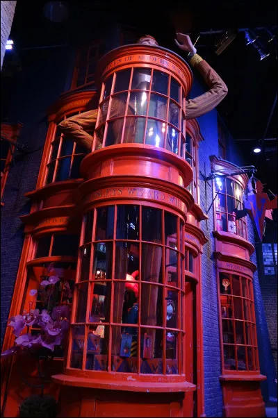 Qui a travaillé à la boutique "Weasley, farces et attrapes" ?