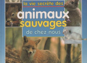 Quiz Les animaux sauvages d'Europe