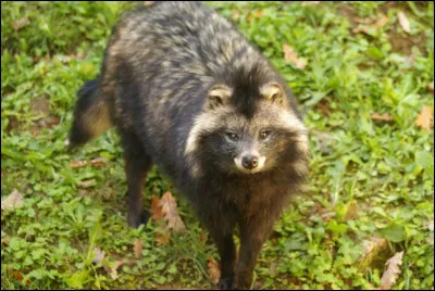 Lui aussi n'est pas là depuis longtemps, mais il a l'air de se plaire !