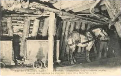 Dans les mines, les chevaux qui tiraient les wagonnets passaient leur vie au fond du trou, parfois jusqu'à en perdre la vue. Bataille est l'un de ces bagnards dans Germinal. Mais si, vous savez bien, Germinal, le roman de...