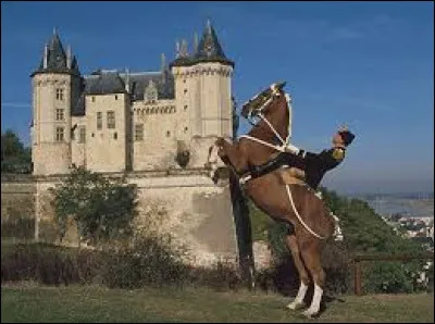 Vous connaissez sans doute le Cadre Noir de Saumur, ce fleuron de l'équitation en France. Mais savez-vous en quelle circonstance ses ''cadets'' se sont illustrés ?