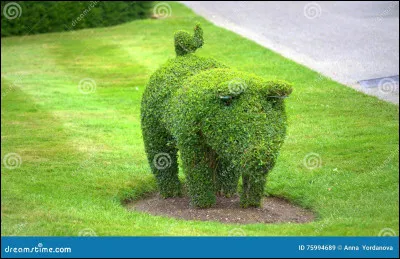 Ceci est un buisson en forme de...