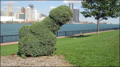 Qu'est-ce que c'est ?