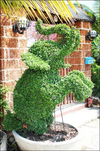 Quelle est la forme de ce buisson ? C'est un