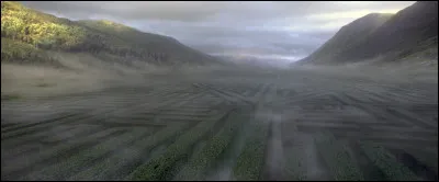 Enfin, comment s'appelle le lieu fait de buissons et de chemins compliqués ?
