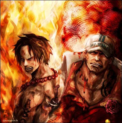 Pourquoi Ace a-t-il combattu Akainu avant de mourir ?