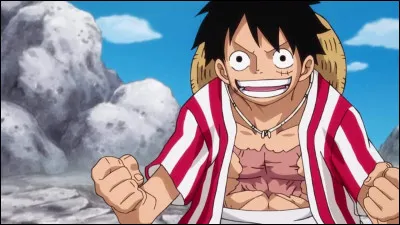 Quelle est la cause de la cicatrice sur le ventre de Luffy ?