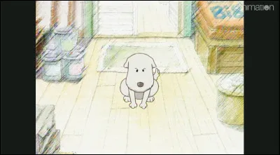 Question très difficile, comment s'appelle ce chien ?