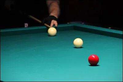 Le bilimbi est l'autre nom du...