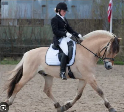 Choisis un nom de concours.