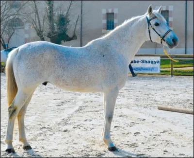 Dans quoi veux-tu torienter ?