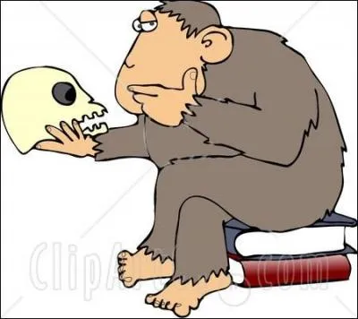 Lequel de ces singes est le plus intelligent ?