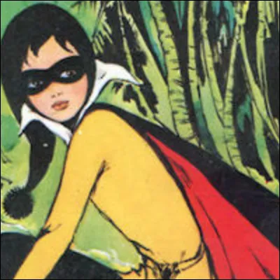 Fantômette, l'héroïne des livres de Georges Chaulet a deux amies dont les surnoms sont :