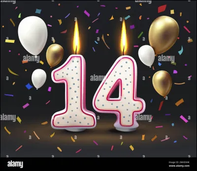 Qui est l'auteur du roman intitulé "14" ?