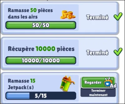 Quand nous jouons, nous pouvons mettre notre partie en arrêt. À quoi correspond cette image que nous pouvons apercevoir en mettant notre partie sur pause ?