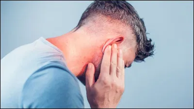 Pourquoi certains chiens ont des otites ?