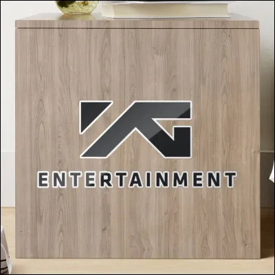 À quel âge a-t-elle intégré YG Entertainment ?