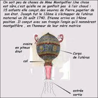 En septembre 1783, à Versailles, sous les yeux de Louis XVI, la première montgolfière prit les airs avec trois animaux à bord, lesquels ?