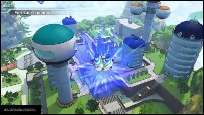 Quel entraîneur se trouve à côté de la petite cabane dans la forêt de bambou ?