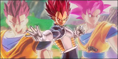 Quelles sont toutes les transformations du Saiyen ?