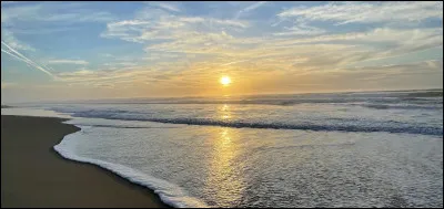 Qu'est-ce que tu aimes le plus à la plage ?