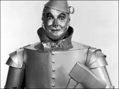 Dans quel roman rencontre-t-on ''Le bûcheron en fer blanc'' ?