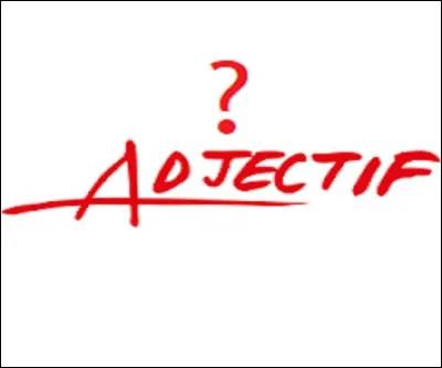 Quel adjectif qualifie un coquillage (par exemple) qui mange la pierre ou qui la creuse ?