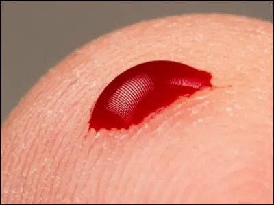 Combien de personnes sont décédées dans la série ?