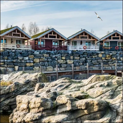 Quel est le nom de ces cabanes, situées face au bassin des otaries, et faisant partie du Pairi Daiza Resort, offre de logements du parc ?