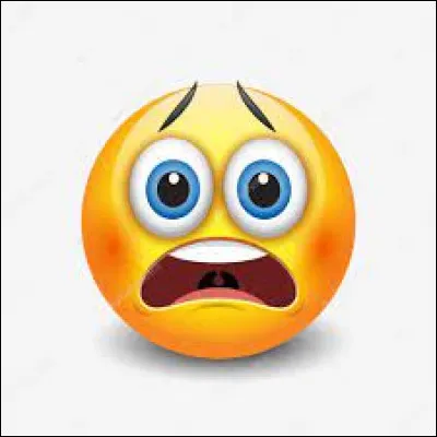 Comment sappelle la peur des insectes ?