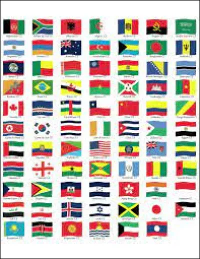 Quel type de phasme nexiste pas ?