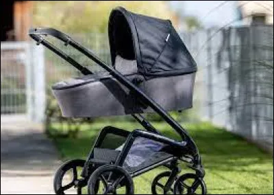 Ils sont parfaits pour se promener avec des jeunes enfants. Ce sont les...