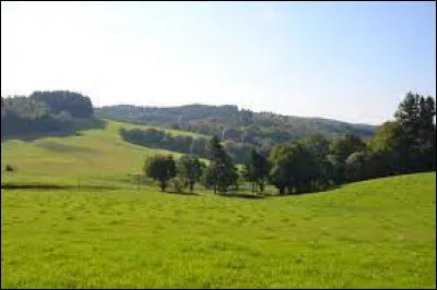 Ce sont des grandes surfaces enherbées. Les...