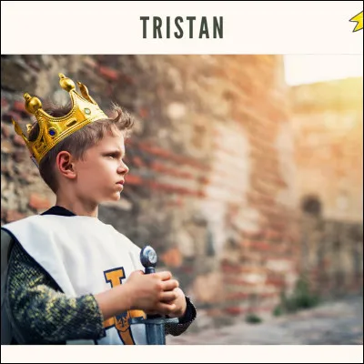 "Tristan" est le titre d'une nouvelle écrite par Thomas Mann.