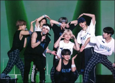 Qui est le conjoint idéal pour toi ?