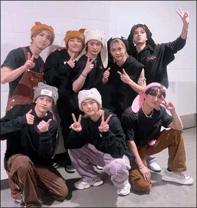 Tu aimes plutôt la compagnie :